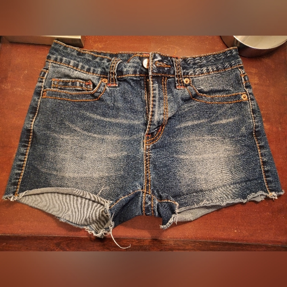 Stylish Blue Denim Jean Shorts